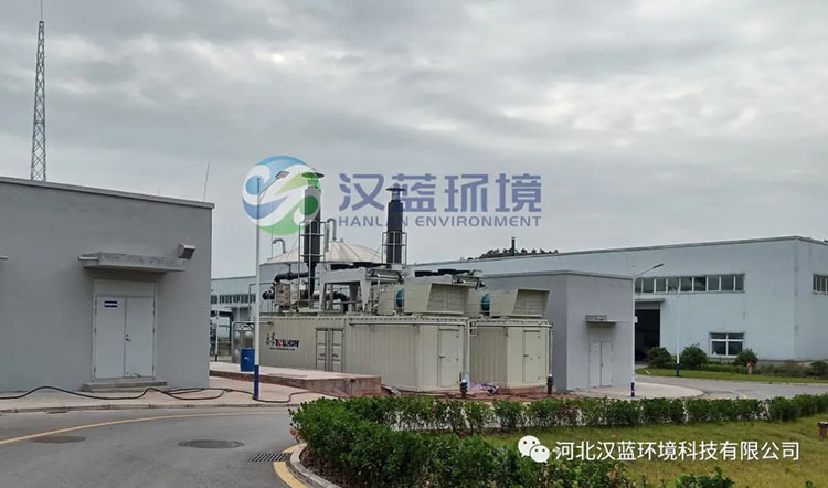 漢藍環(huán)境助力“井研大沼項目”脫硝設備順利驗收！
