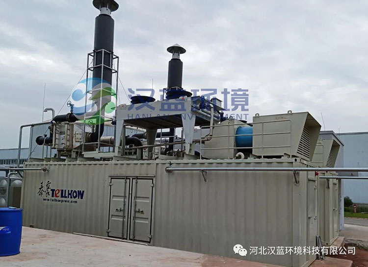 漢藍環(huán)境助力“井研大沼項目”脫硝設備順利驗收! 漢藍環(huán)境助力“井研大沼項目”脫硝設備順利驗收!