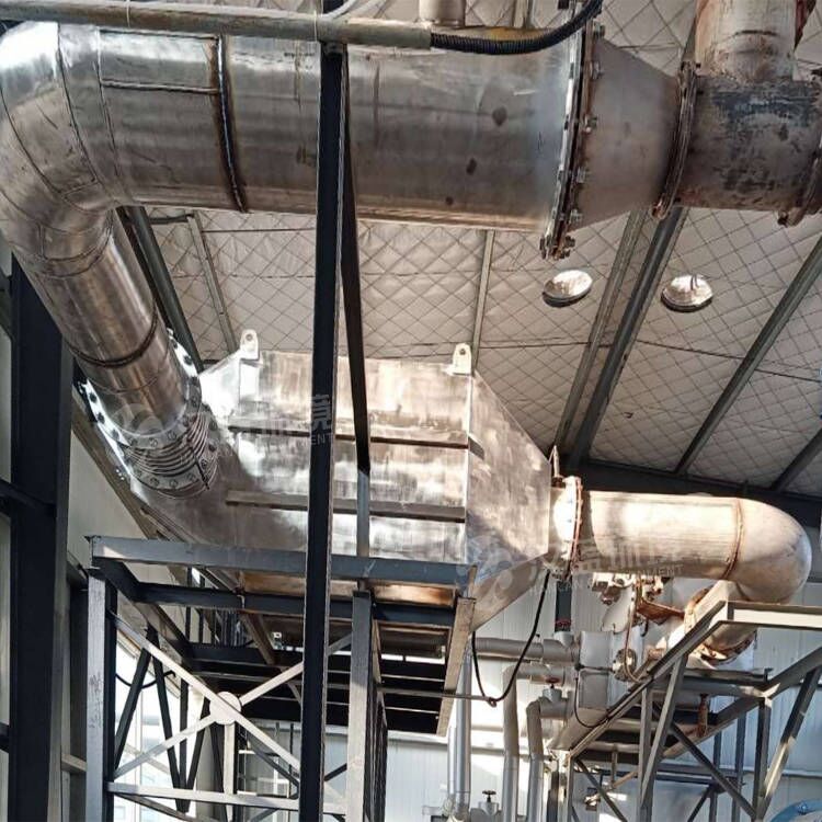 萬純SCR脫硝系統在某縣生物天然氣開發利用PPP項目中成功驗收